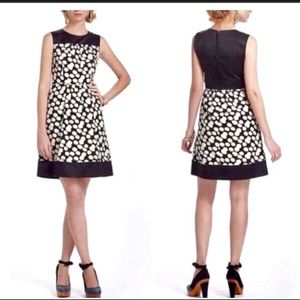Anthropologie Black and White dress